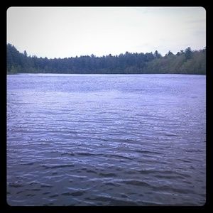 Meet your Posher, Kali